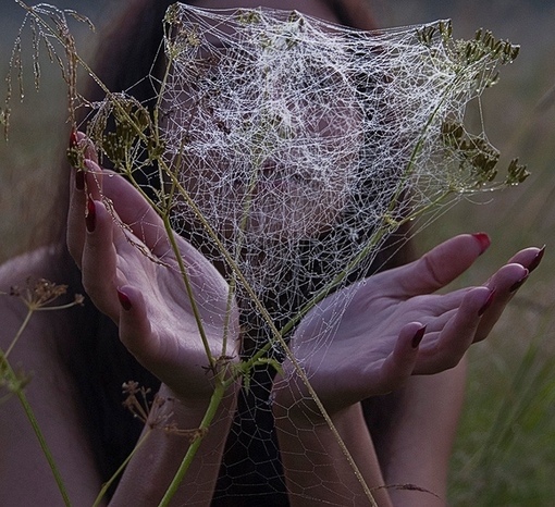 Нити счастья