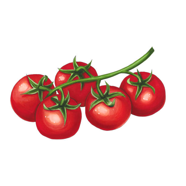 Помидорка черри. Дразнилка