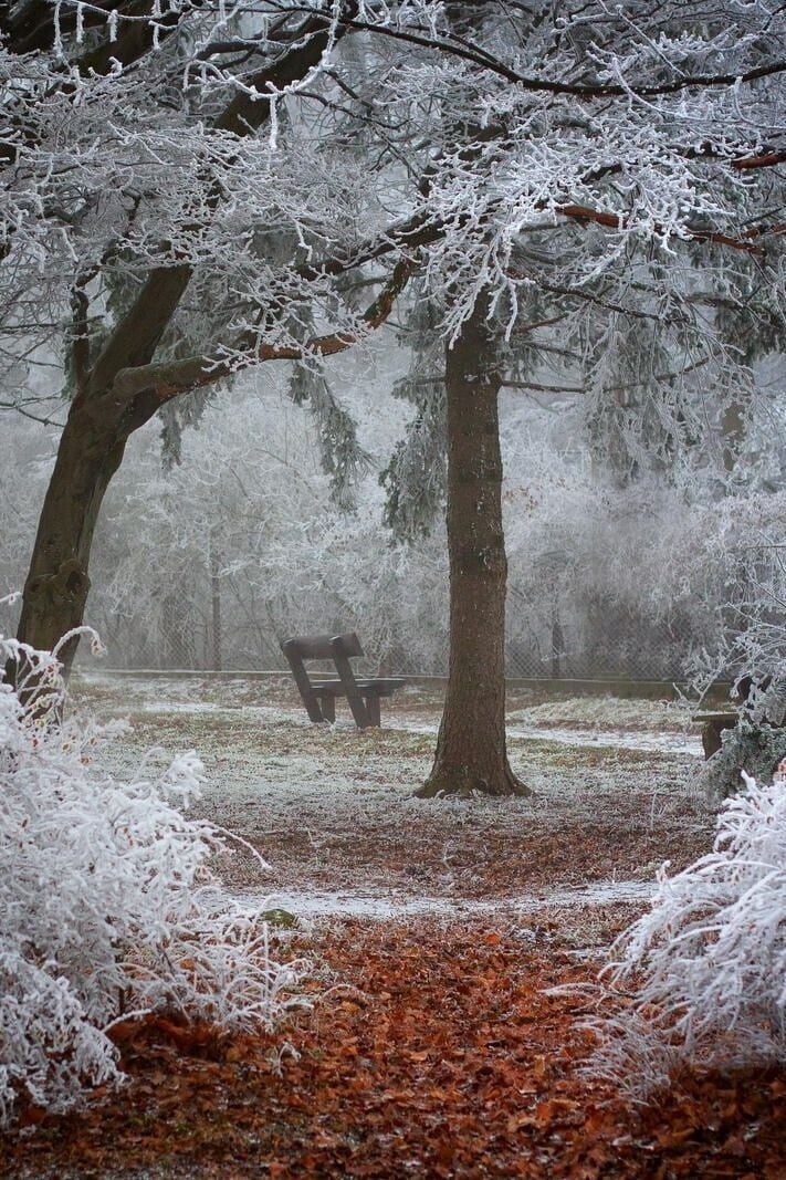 Последняя записка