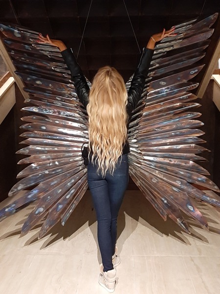 Крылья зари