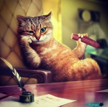 Какой-то обнаглевший кот