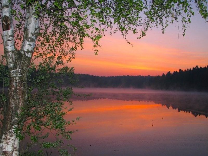 Соловьиная роща