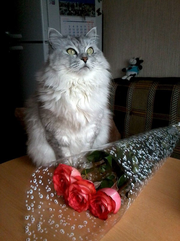 Подарок из сада