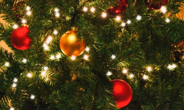 Какой же Новый год без ели?