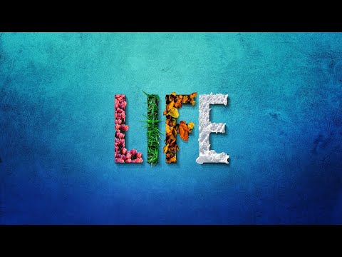 Say life, stay alive