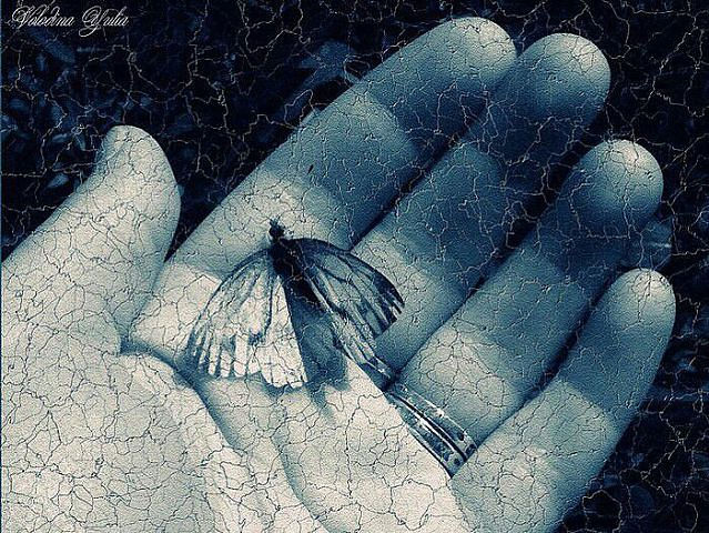 Бесценный приз