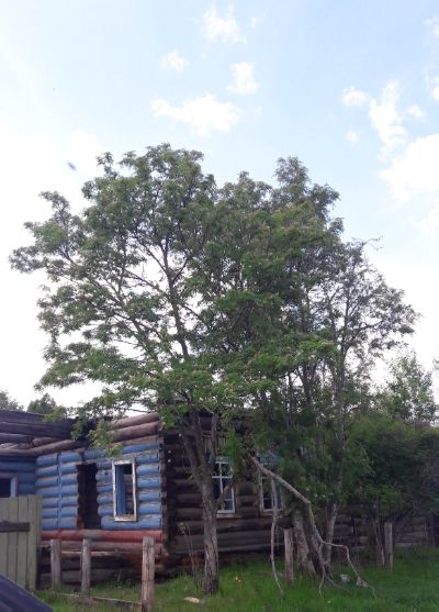 Ностальгия