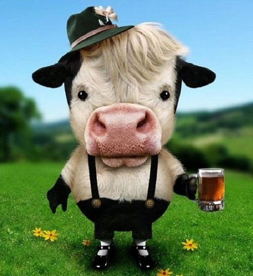 Рад, что он не красный