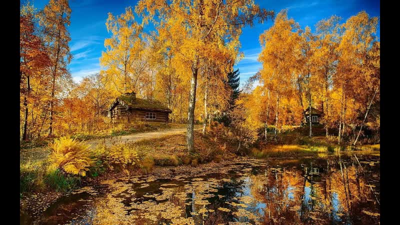 Все тропинки забросала осень