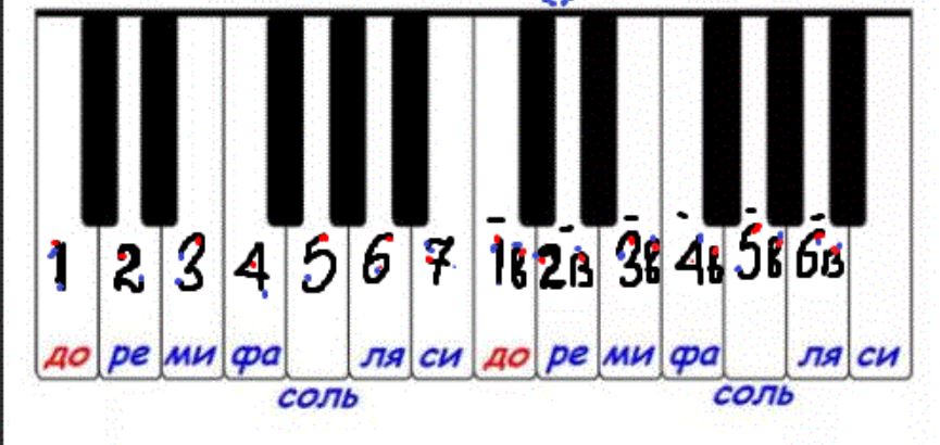 в лесу родилась ёлочка на пианино для начинающих. елочка на синтезаторе для начинающих. елочка на синтезаторе для начинающих. в лесу родилась ёлочка ноты для синтезатора. елочка на синтезаторе.
