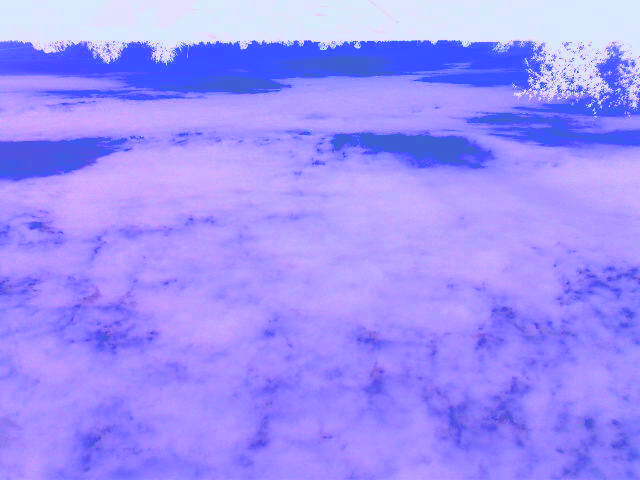 По-над лесом, над полем забрезжит рассвет