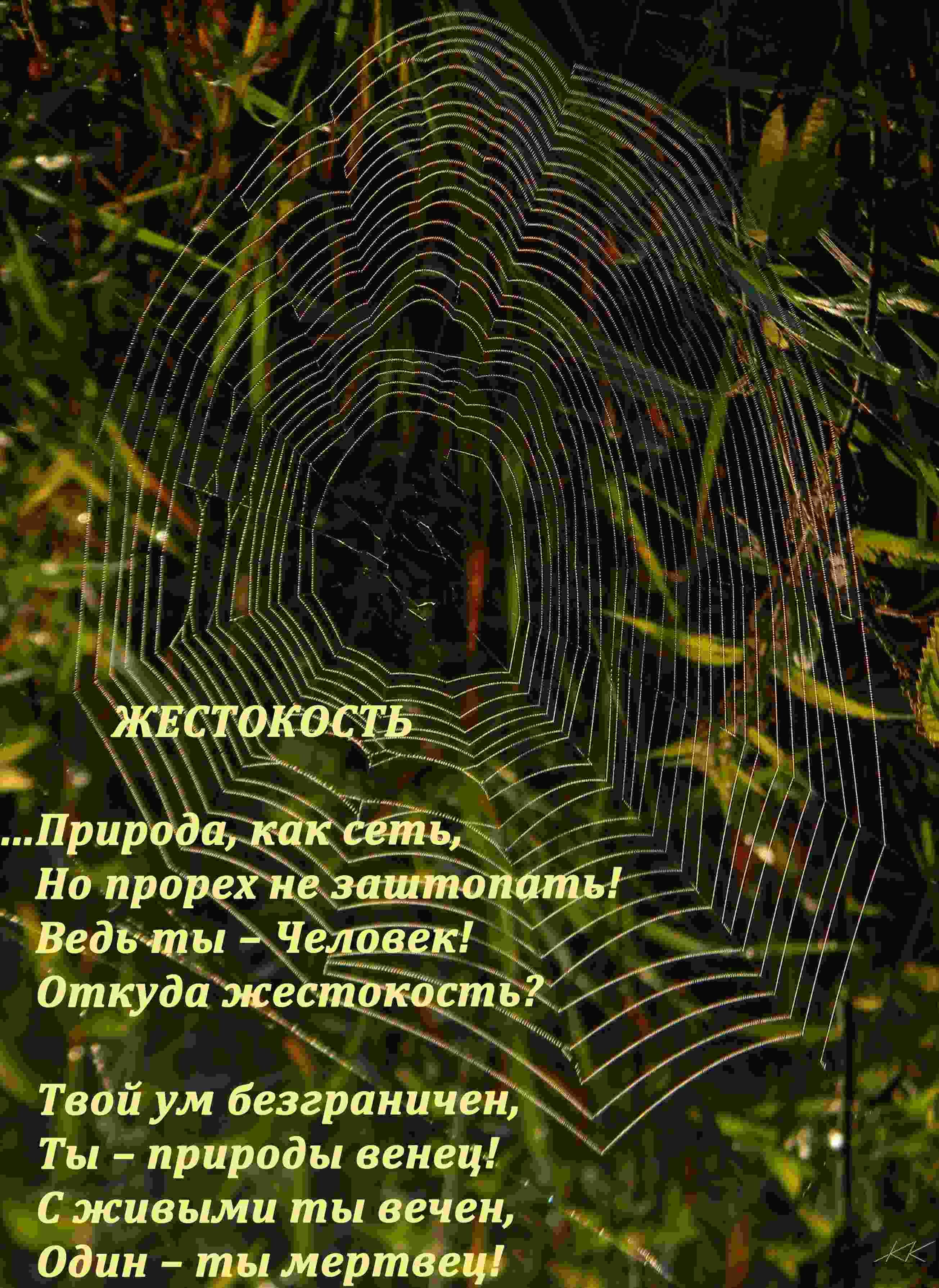 Жестокость