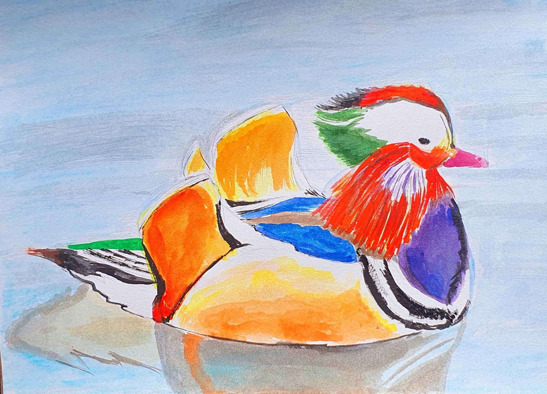 Утка мандаринка из красавцев