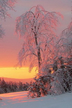 Волшебный миг