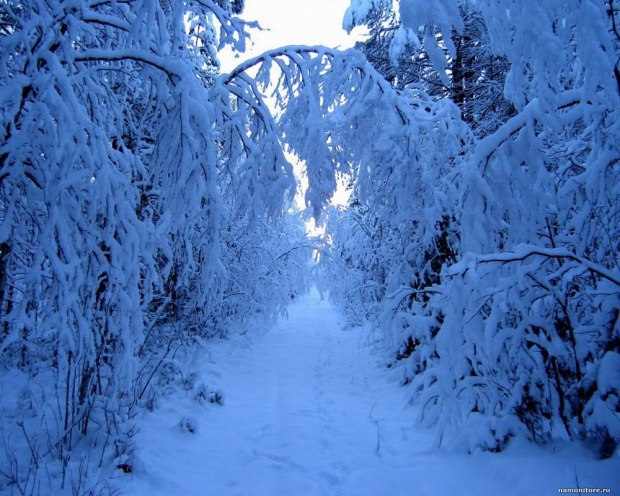 Который день нас давит сверху