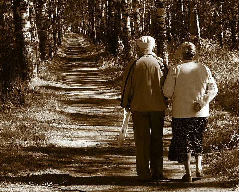 старик уходи. старик уходи. мужчина в осеннем парке. шал кет митинги. двое идут по дороге.