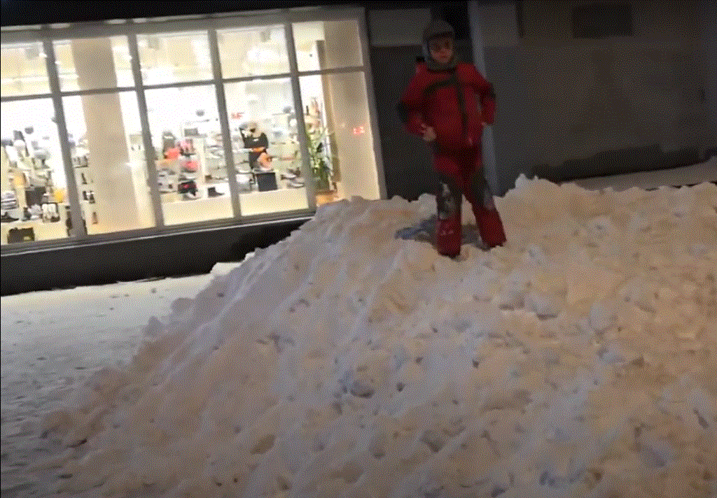 Родители зимовредители