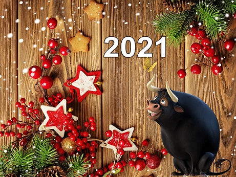 С Новым 2021 Годом Быка!