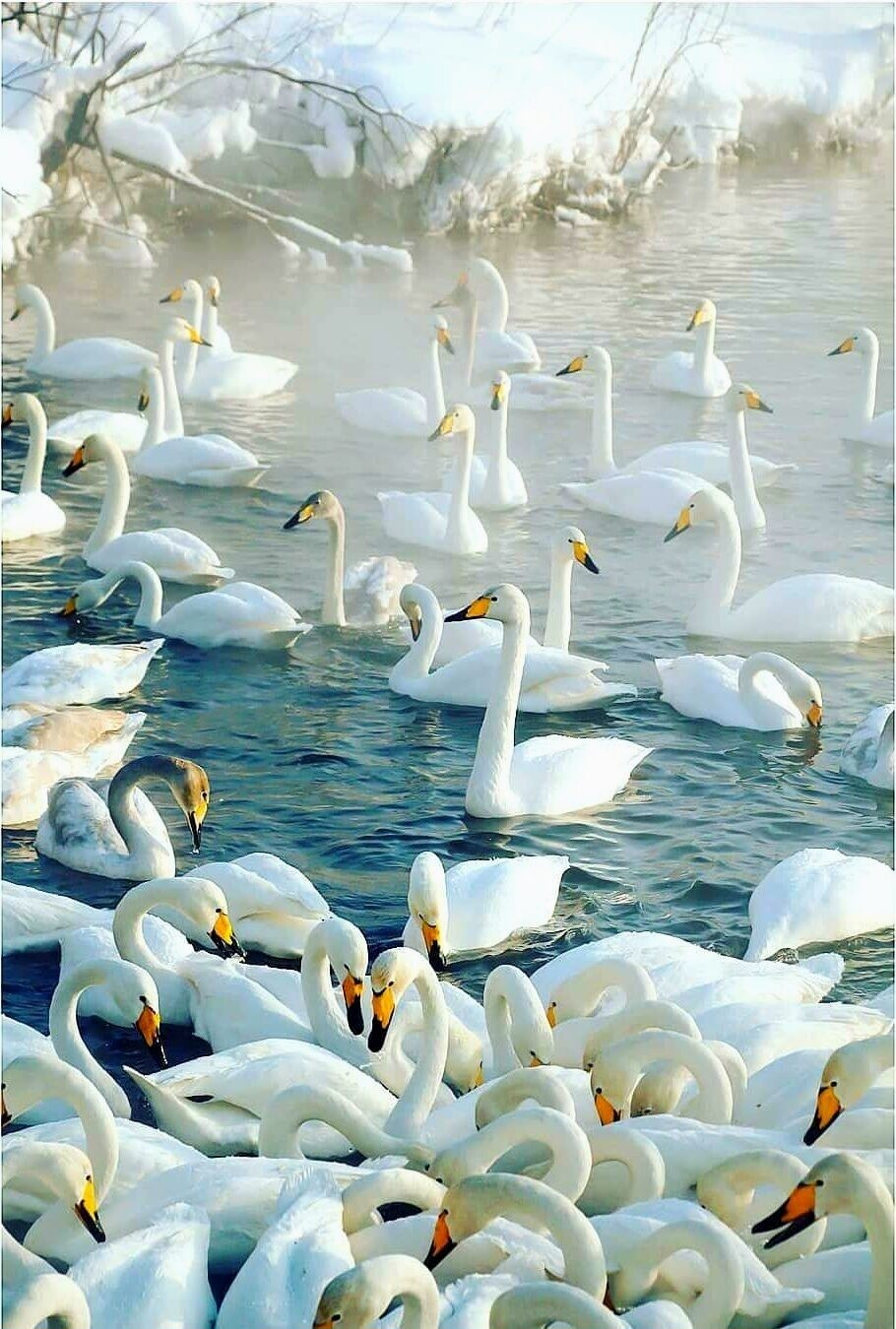 Зря нас (Счастье Поэта) / Стихи.ру