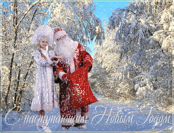 Новогоднее