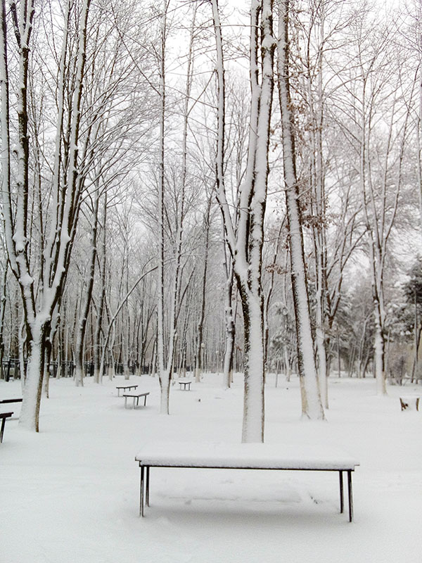 Рождение новой Земли