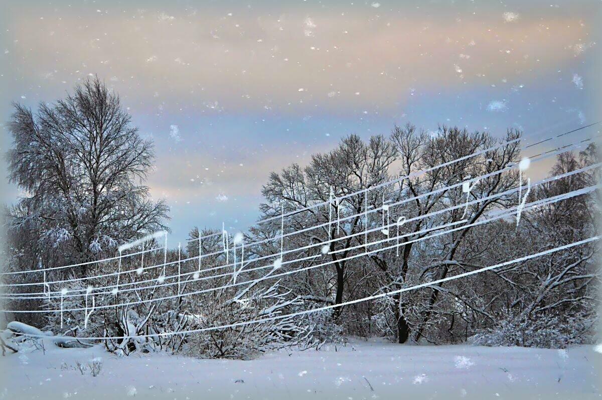 Новогодний метель