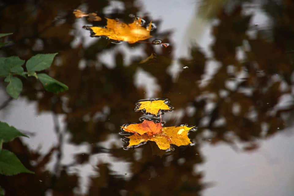 Mit Ocker betupft sind die Berge