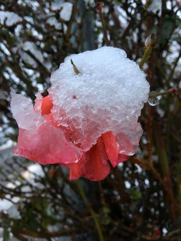 Снегу намело