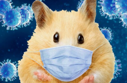 Двадцатый год уходит наконец