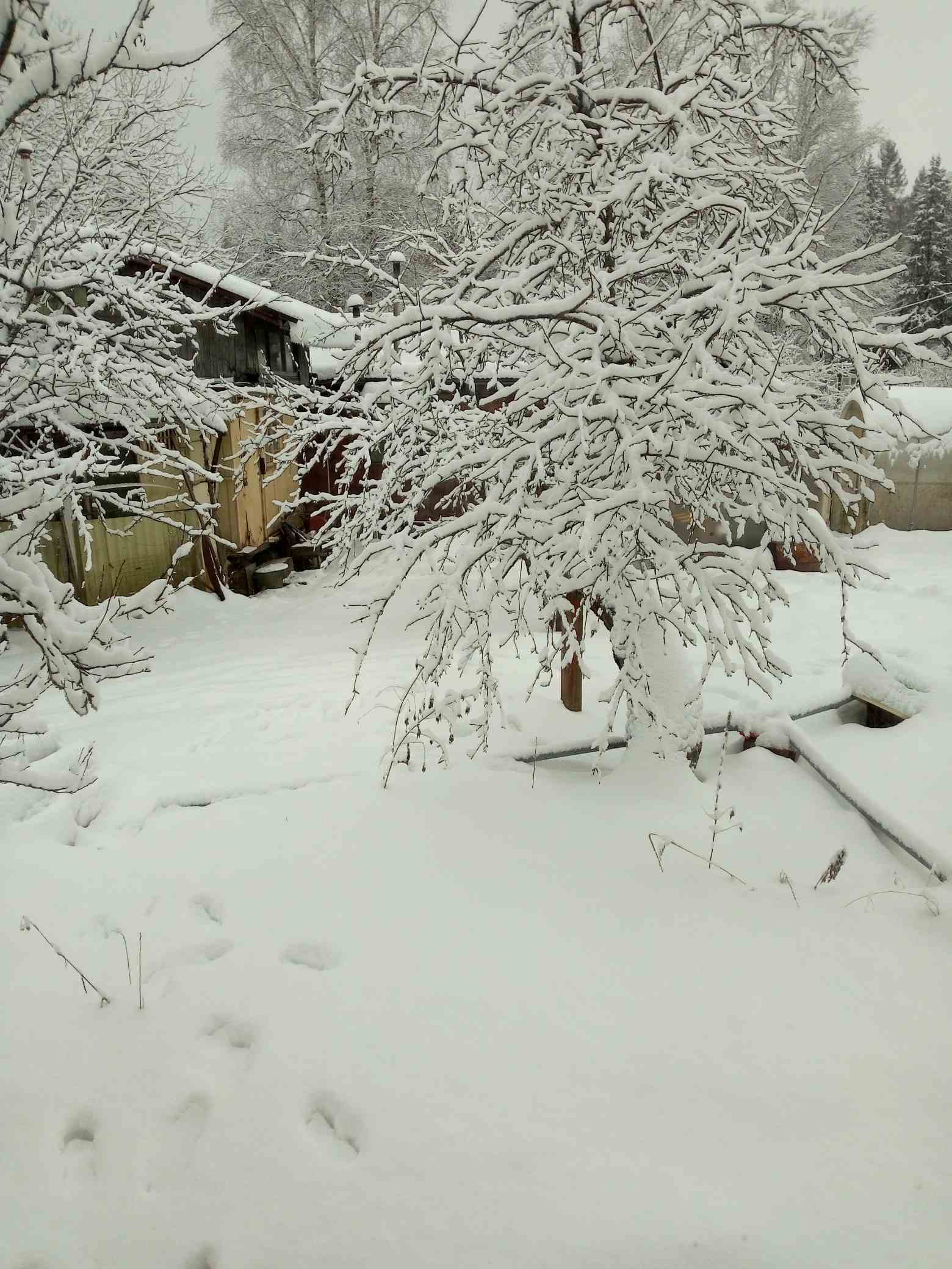 Зарисовка 68