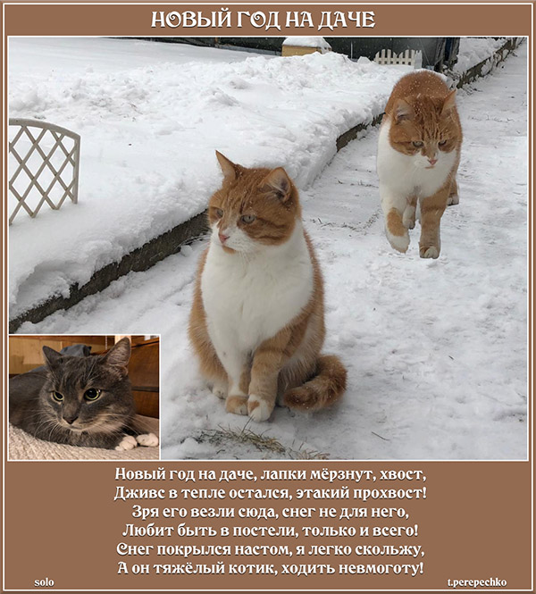 Новый год на даче