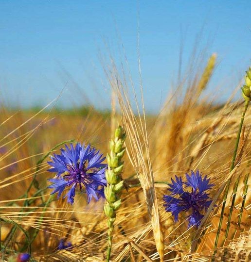 Прогони сомнения прочь...