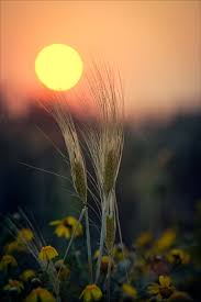 Не просто так...