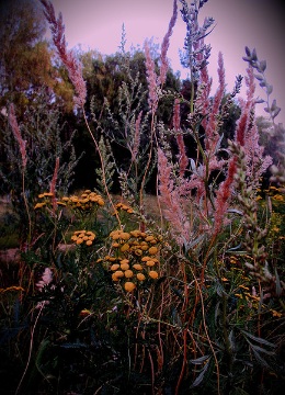 Вселенная моя...