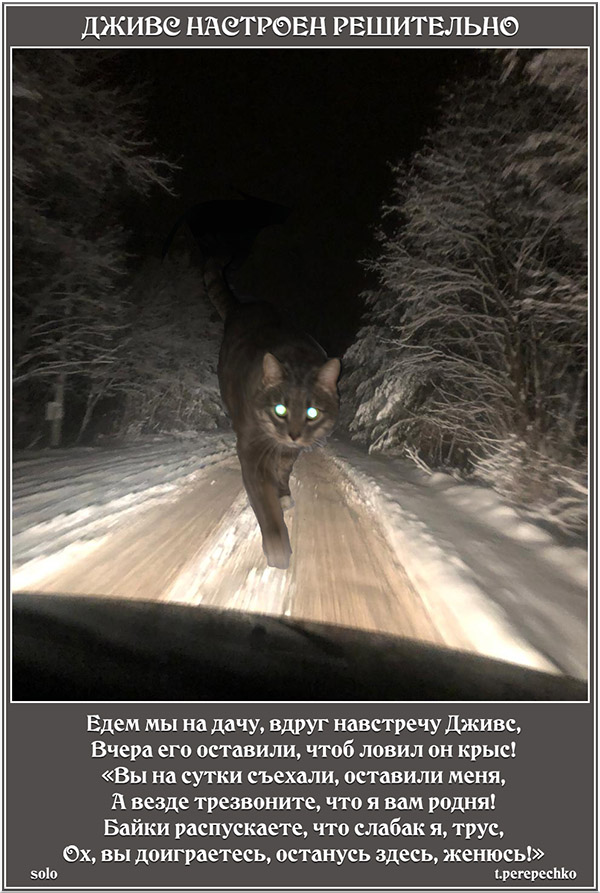 Дживс настроен решительно