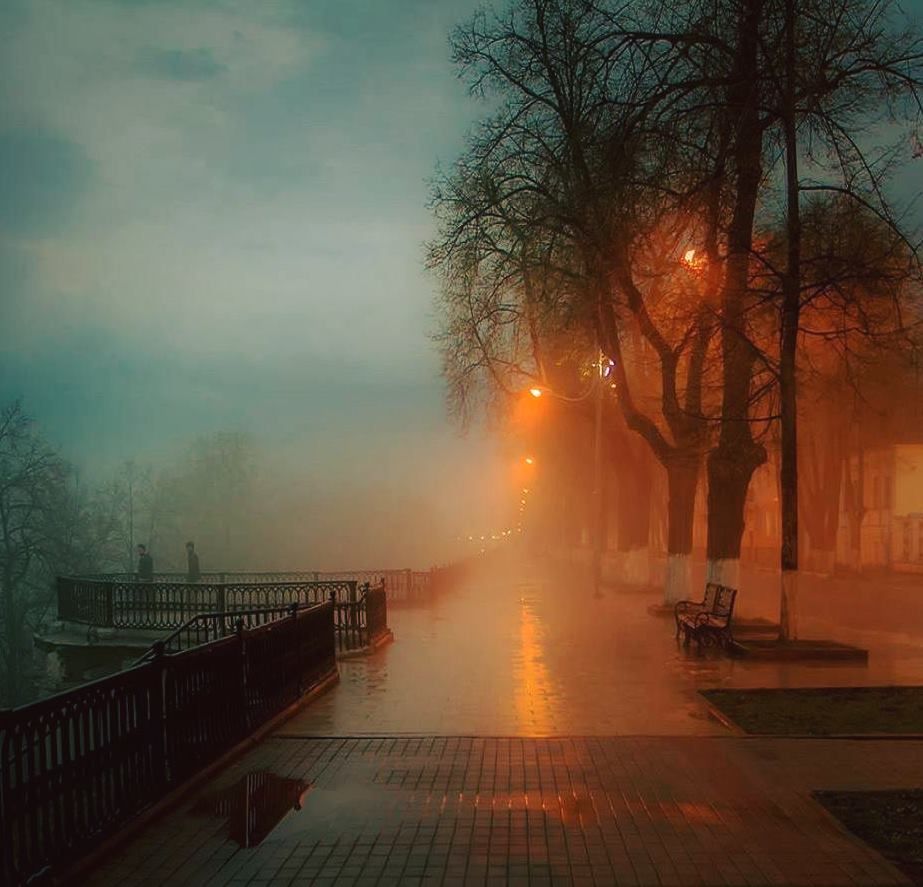 Парк в тумане