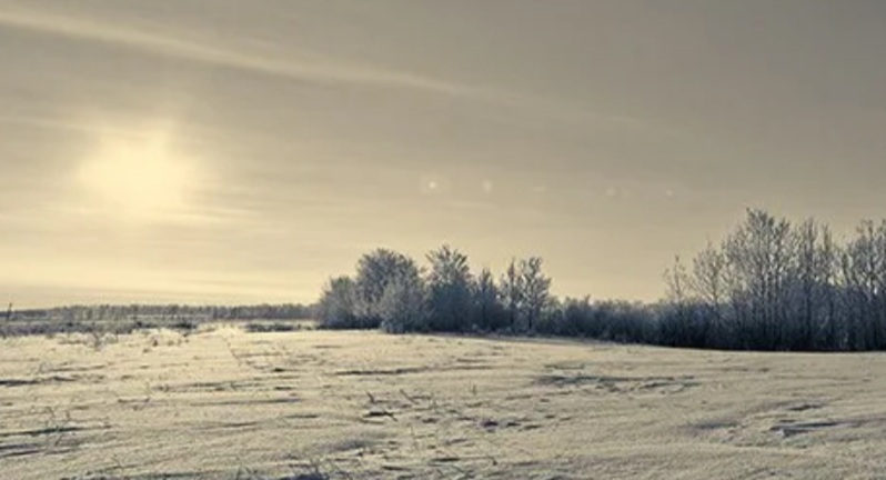 Зимнее поле