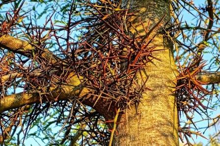 Каждый вдохновляется, как может...