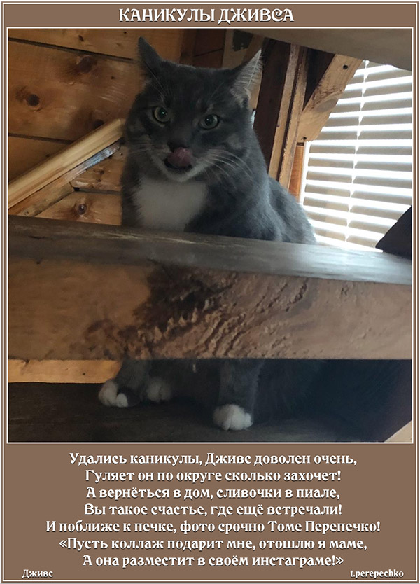 Каникулы Дживса