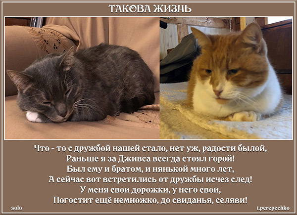 Такова жизнь