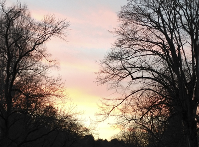 Владеть собой - вот в жизни дар