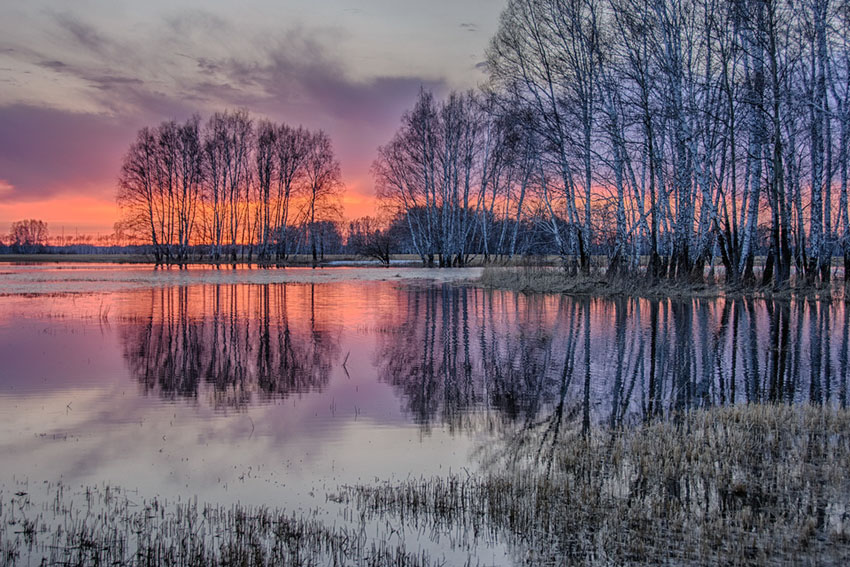 04-Арина N38 - Предчувствие весны