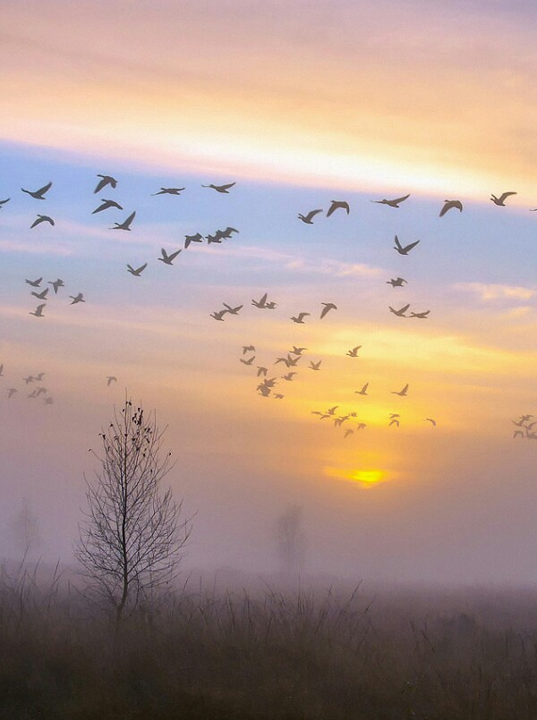 05-Арина N39 - Мне пишет август...