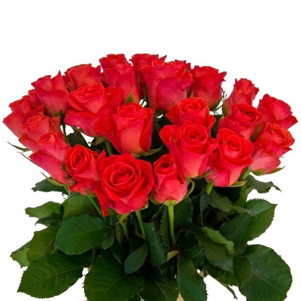 Cветланочка, с Днём Рождения!