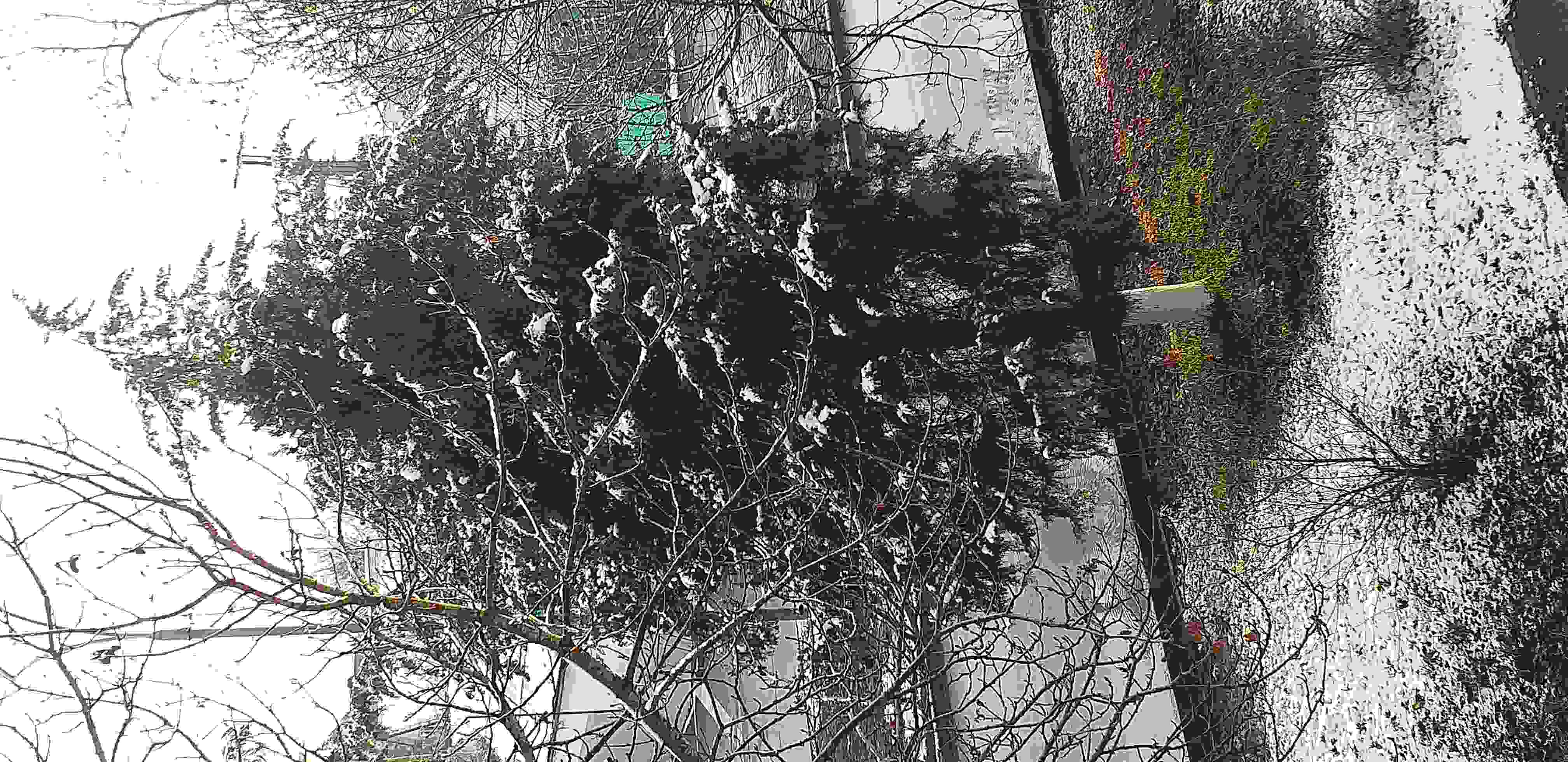 Кубанская погода