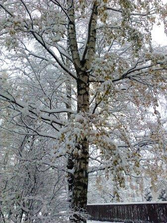 Заглянула всё же