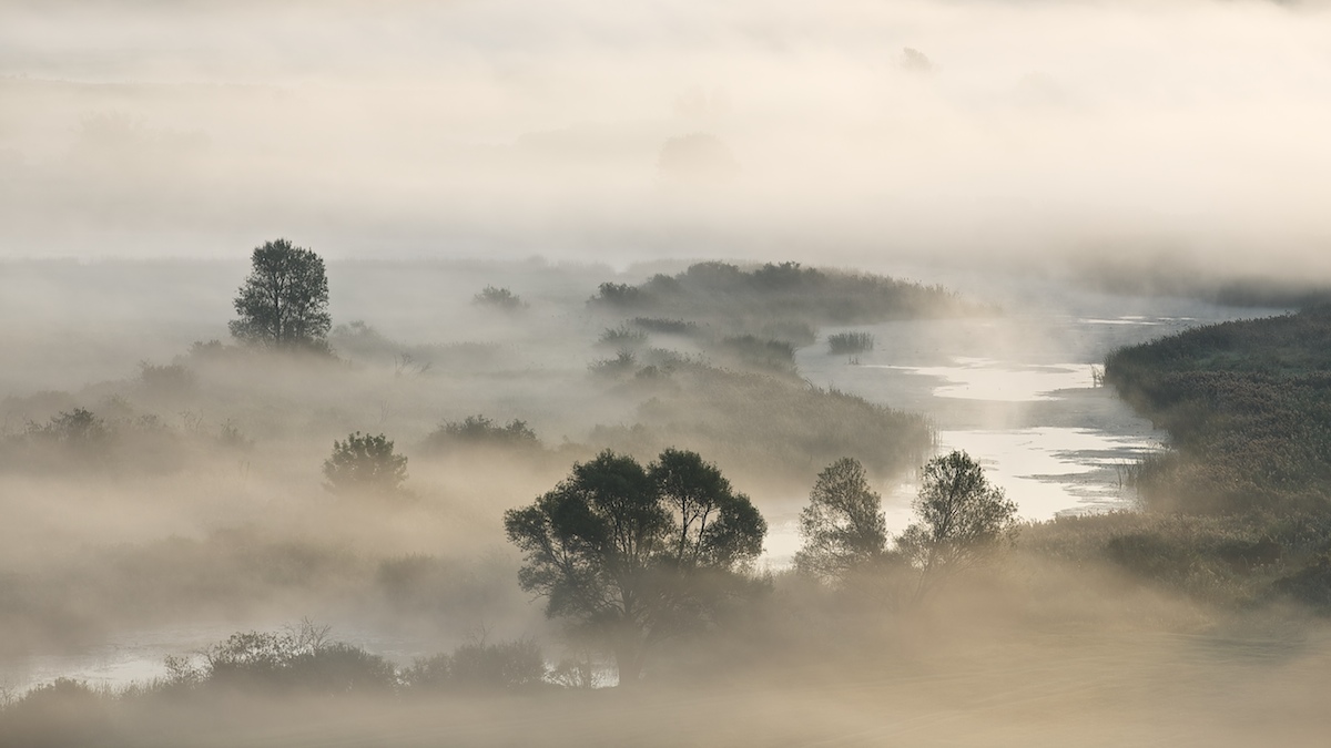Туман туман кружится голова. Туман Камбоджа. Туманный пейзаж. Фотохудожники туман.