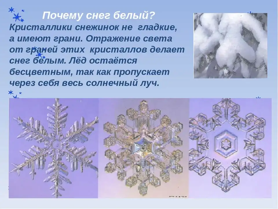 Особенности снежинок. Почему снег белый. Снежинки для детей. Снежинки для презентации. Проект Снежинка.