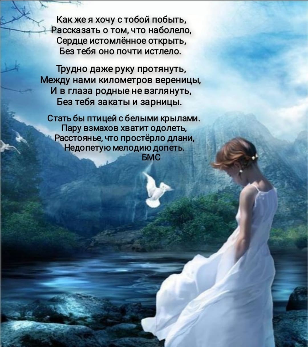 Птица с белыми крылами