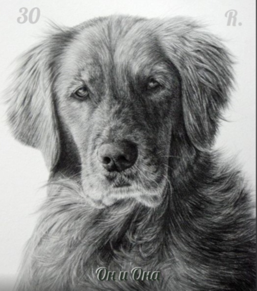 Он и Она. Диалог